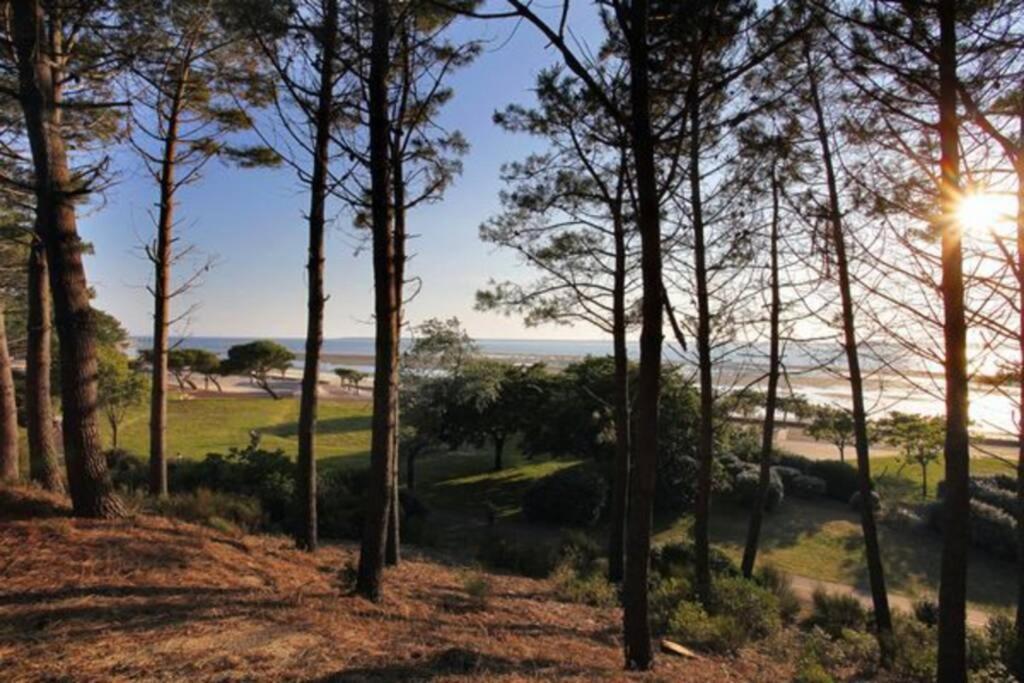 Appart Sur La Plage Pied Dans L Eau Avec Terrasse Jardin Vue Sur Le Bassin Depuis La Terrasse , Parking Аркашон Екстериор снимка