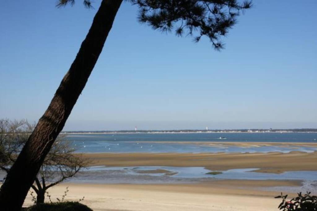 Appart Sur La Plage Pied Dans L Eau Avec Terrasse Jardin Vue Sur Le Bassin Depuis La Terrasse , Parking Аркашон Екстериор снимка